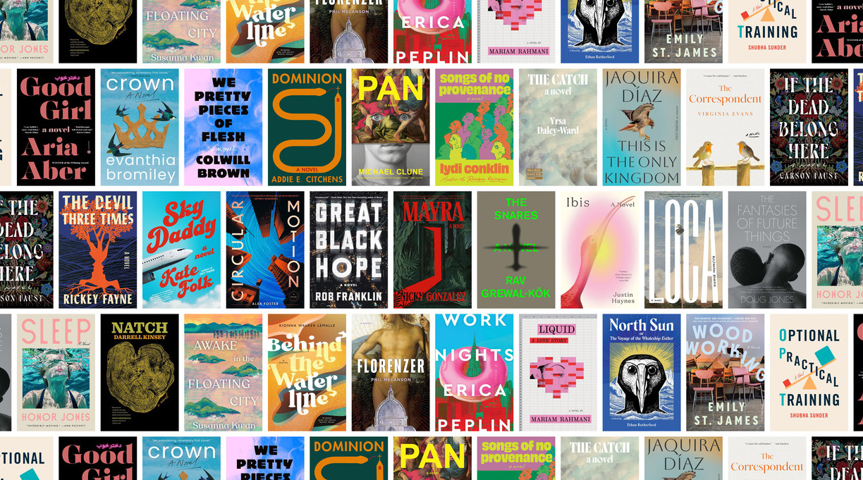 Longlist for First Novel Prize Is Revealed